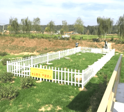 临沂生活污水处理设备工程人工湿地案例