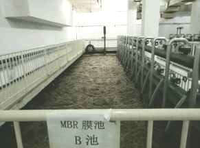 北京大学MBR生活污水处理工程案例